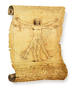 莱昂纳多的维特鲁维亚人的旧羊皮纸文档生物学手稿解剖学艺术古董生活历史男性插图图片