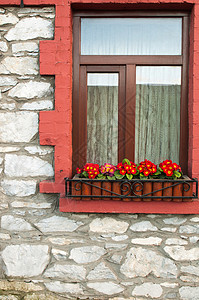 爱尔兰语窗口窗户叶子石头植物学花瓣植物花朵钢琴园艺图片