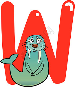 海象为W漫画插图语言孩子们卡通片班级海豹幼儿园动物拼写图片