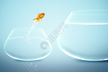 金鱼在小鱼卵中的金鱼 看着金鱼跳入大裂缝图片