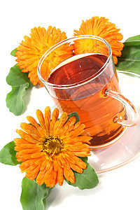 美甲茶叶子金盏花植物茶杯防腐剂橙子疗法药品药材花朵图片