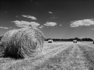 Hayricks 中间体草垛天空场地黑与白背景图片