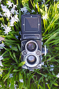 双镜头照相机摄影绿色艺术花朵美术照片背景图片