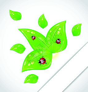 剪纸上露出小虫子的树叶插图女士床单生长贴纸横幅风格生态叶子瓢虫图片