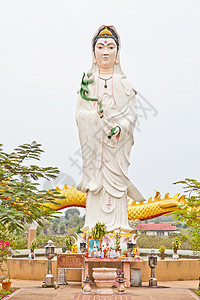 白泉伊因从她那庞大的宗教文化女性天空佛教徒冥想雕塑大理石女神青蛙图片