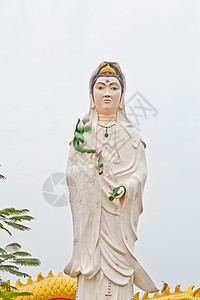 白泉伊因从她那庞大的天空精神历史雕像信仰怜悯雕塑佛教徒文化女性图片