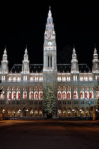圣诞节场景维也纳夜景建筑学蓝色市场城市游客灯光首都假期场景歌剧背景