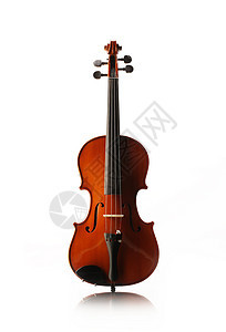 小提琴红色乐器音乐交响乐团风格音乐会演艺木头图片