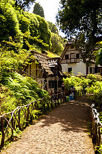 马 提拉花朵屋顶小岛茅草房子木头阴影建筑物远足植物群图片