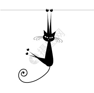 用来设计你的有趣的猫双影黑色绘画动物夹子乐趣艺术猫科宠物小猫白色胡须图片