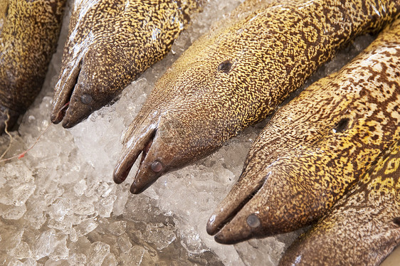 马 提拉渔业市场骨头海鳗营养鱼骨拖网鱼片海鲜钓鱼图片