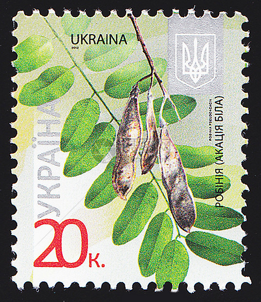 乌克兰邮政邮戳模版外套明信片旗帜艺术边界旅行收藏信封价格图片