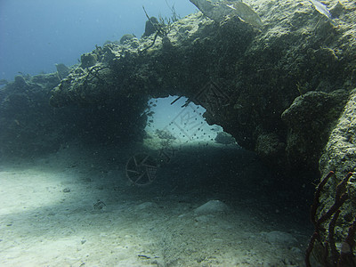 拱门海洋游泳生活风景呼吸管潜水员环境情调珊瑚异国图片