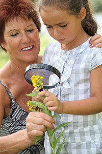 一个55岁的女人 和一个小看一朵黄色的花 用放大镜图片素材