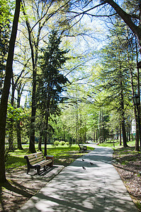 里维埃拉公园晴天叶子树叶灌木树枝路面公园绿色黄色店铺图片