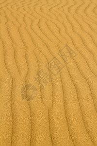 金沙沙漠背景背景图片