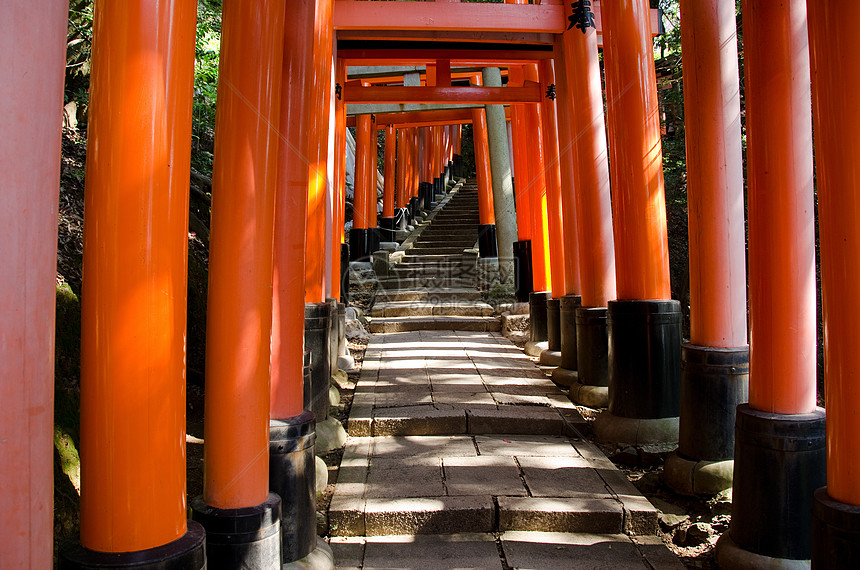 京都Inari圣堂的托里门木头地标汉子旅游入口观光信仰旅行遗产宗教图片