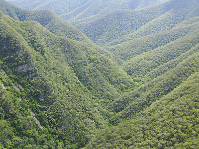 和在奥斯大利亚的森林中的山丘树木多样性全景石头天线生物学植物群内衬生物桉树图片