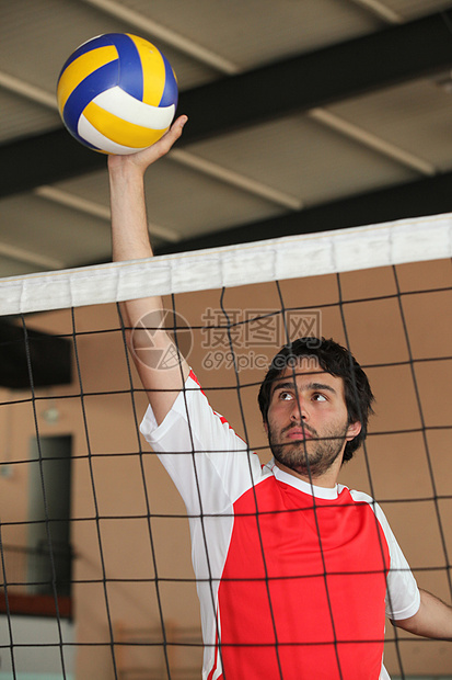 排球运动员把球推到网上游戏成套法庭大厅乐趣团队行动运动男性男人图片