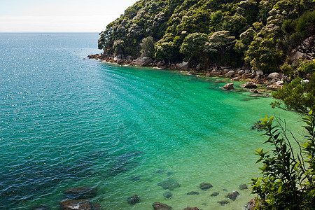 新西兰亚伯塔斯曼 NP 的宁静海湾树木假期天堂蓝色旅行支撑峡湾海岸植被旅游图片