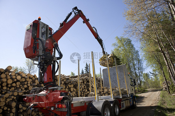 木材装载砍伐红木驾驶资源森林体力劳动者环境红色木头方式图片