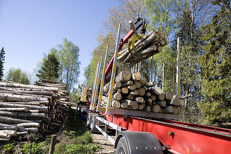木材装载日志木工人商业砍伐驾驶资源红木货运运输森林图片