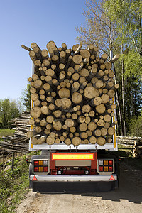 装载的木材日志木材业森林材料交通环境木头方式商业驾驶图片
