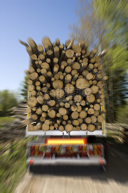 装载的木材体力劳动者红木加载商业资源红色货运森林方式材料图片