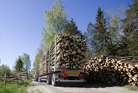 带木材的卡车体力劳动者材料方式资源商业森林木工人运输木材业驾驶图片