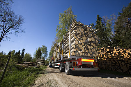 带木材的卡车商业木材业交通环境日志木工人砍伐森林红木驾驶图片