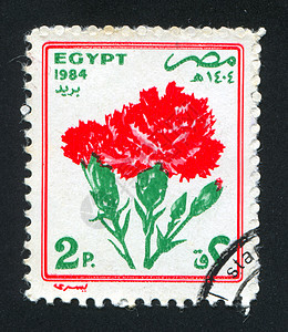 鲜花信封二元化植物群邮票灯丝邮戳植物植物学邮资明信片图片