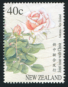 玫瑰集邮植物花园邮票香味信封花序雌蕊邮资象形图片