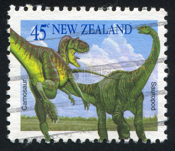 Carsonosaur和Sauropod图片