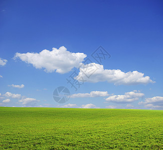 字段风景牧场植物农业土地远景阳光季节场地草地图片