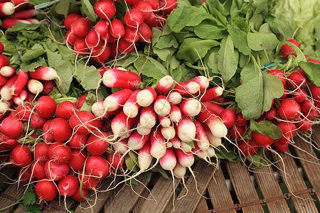 市场上的红色和白色萝卜成捆沙拉植物营养收成团体花园农场蔬菜农业叶子图片
