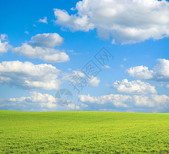 字段牧场风景天空乡村场地绿色季节植物农业草地图片