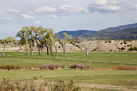 山谷的灌溉草原图片