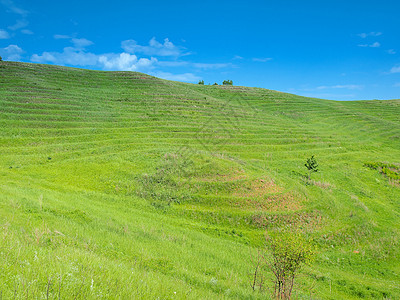 夏季风景阳光丘陵孤独环境草地天空地平线蓝色植物寂寞图片