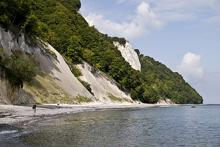 鲁根岛树木海岸粉笔绿色白色石头悬崖白垩海滩图片