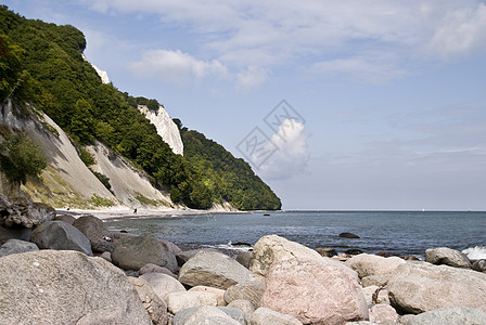 鲁根岛绿色悬崖石头海滩白垩粉笔树木海岸白色图片