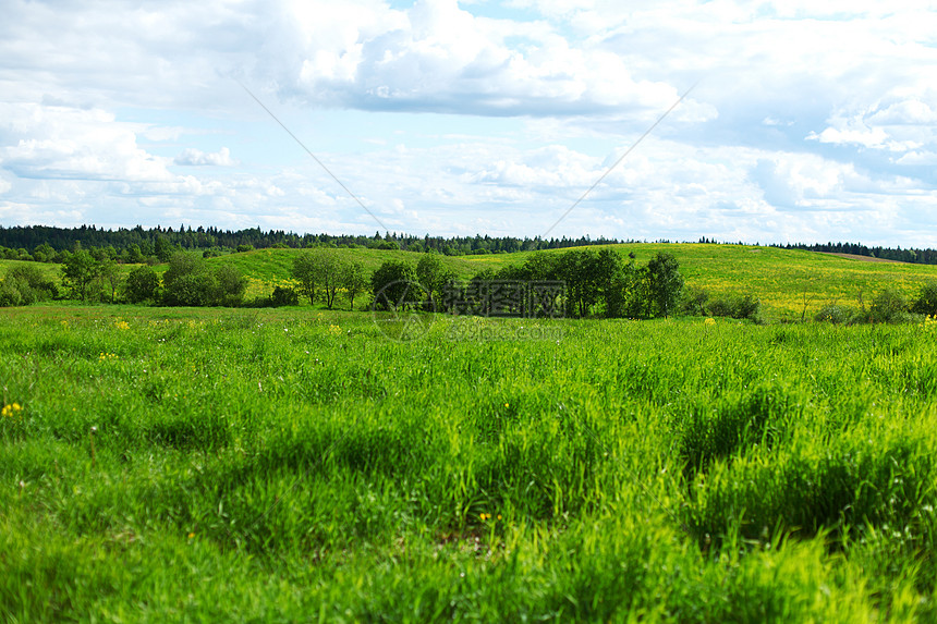 绿绿草地成人土地女性天空阳光女孩植物地面农场图片
