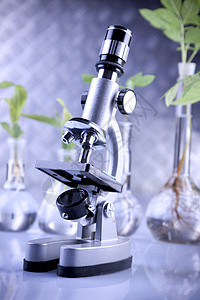 实验室中的植物 遗传科学杂草幼苗化学品实验生长学习工程叶子发芽生物学图片