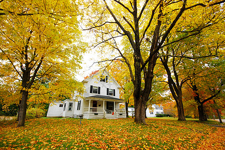 秋楼棕色公园叶子树叶季节橙子木头房子窗户国家图片