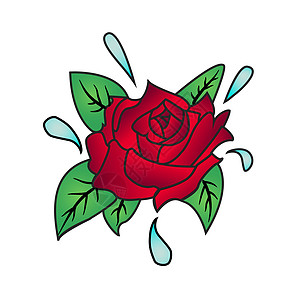 玫瑰红色植物白色花瓣叶子背景图片