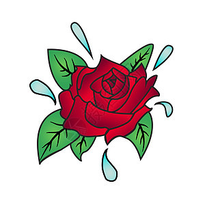 玫瑰红色植物白色花瓣叶子背景图片
