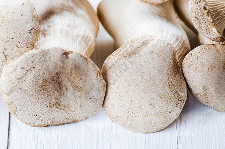 白木桌上的牡蛎蘑菇图片