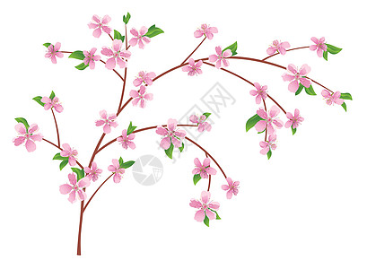 桃子的矢量枝 盛开花朵背景图片