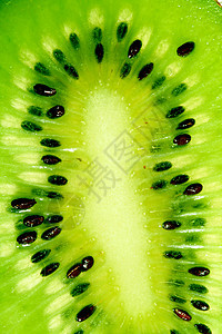 片水果美食植物药品沙漠温泉奇异果食物青菜杂货图片