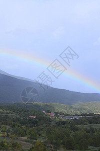 彩虹和多彩的叶子木头树叶地平线黄色旅游植物季节性森林图片