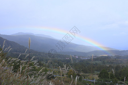 彩虹和多彩的叶子黄色地平线季节性森林旅游木头植物树叶图片